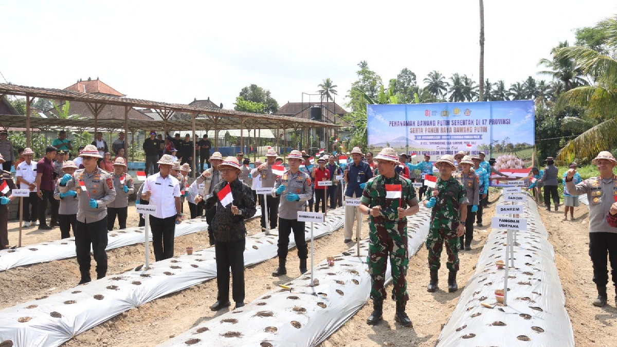 Polda Bali Tanam Bawang Putih Serentak di Enam Wilayah di Bali, Dorong Ketahanan Pangan dan Swasembada Nasional