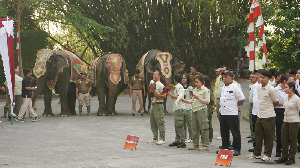Tiga Gajah Sumatra Ikut Upacara HUT ke-81 RI di Taman Safari Bali